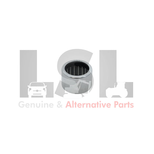 027929-Carraro-1