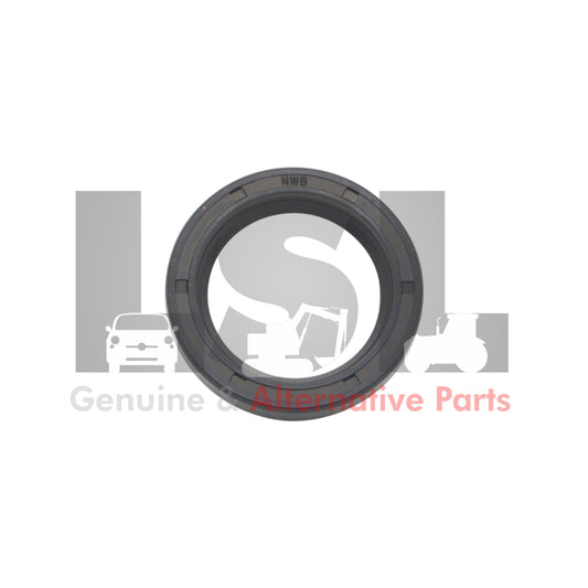 81717245-CNH-1